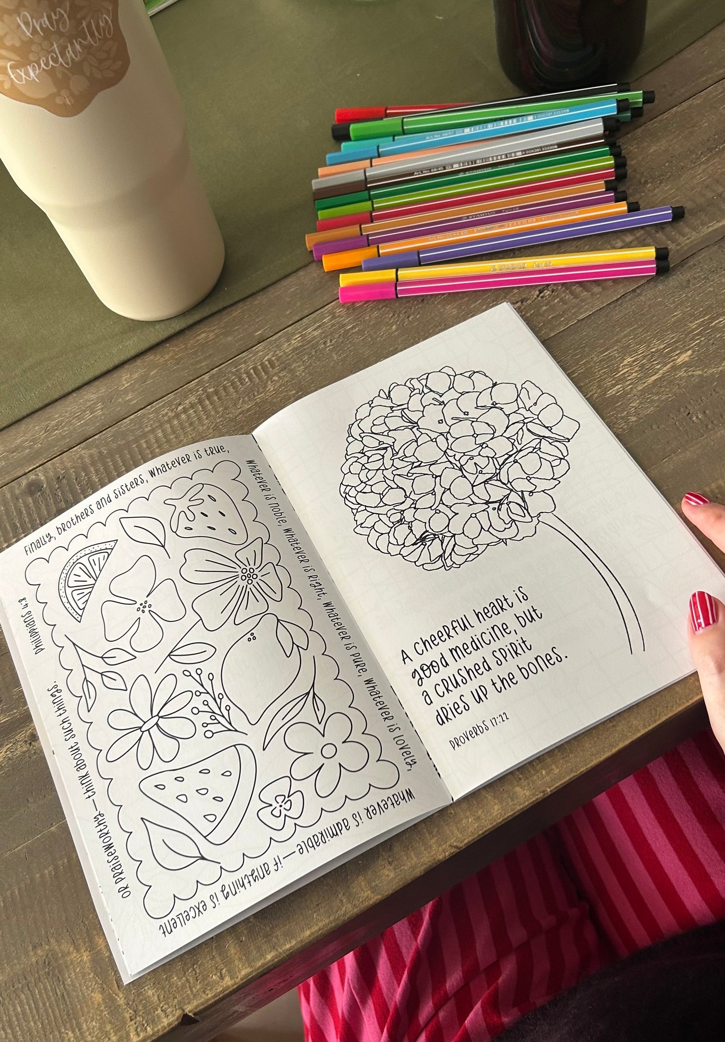 The Little Fruits and Florals Colouring Book by Daisy & Joy