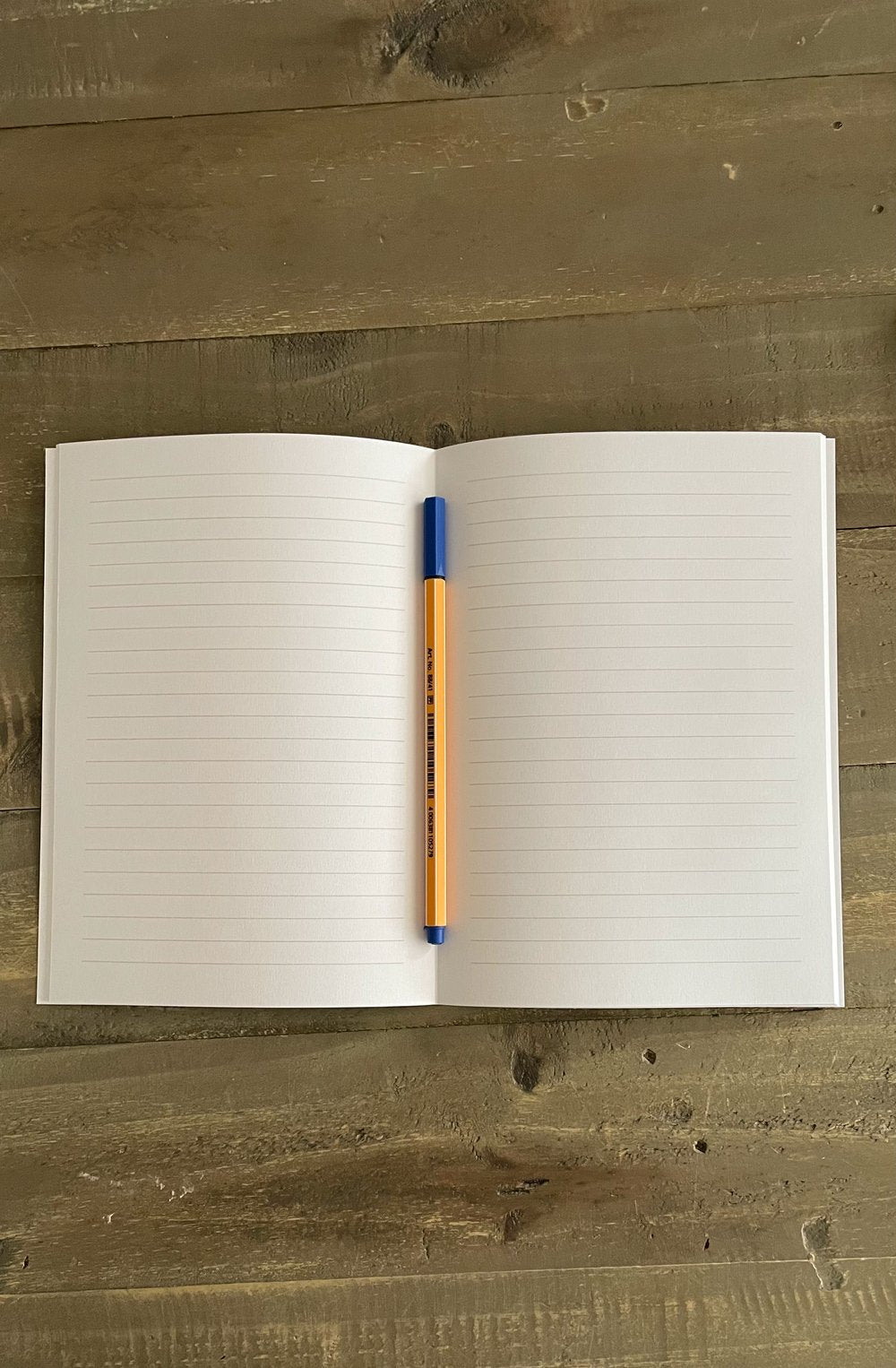 IMG_4980_jpg.JPG (Copy)