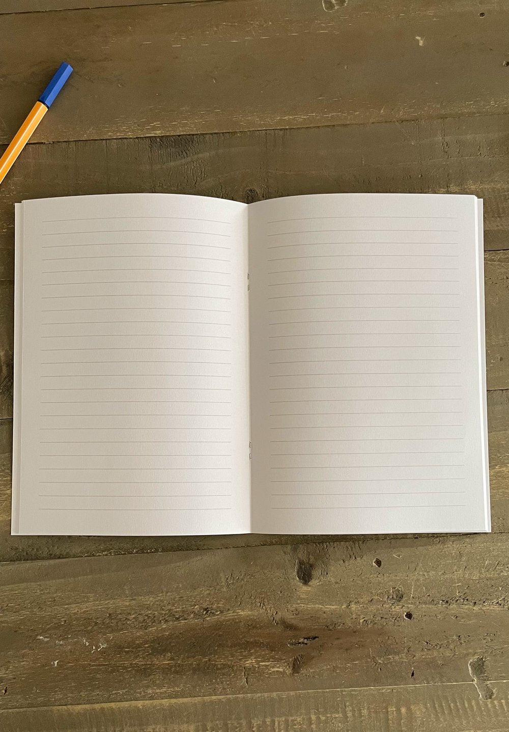 IMG_4981_jpg.JPG (Copy)