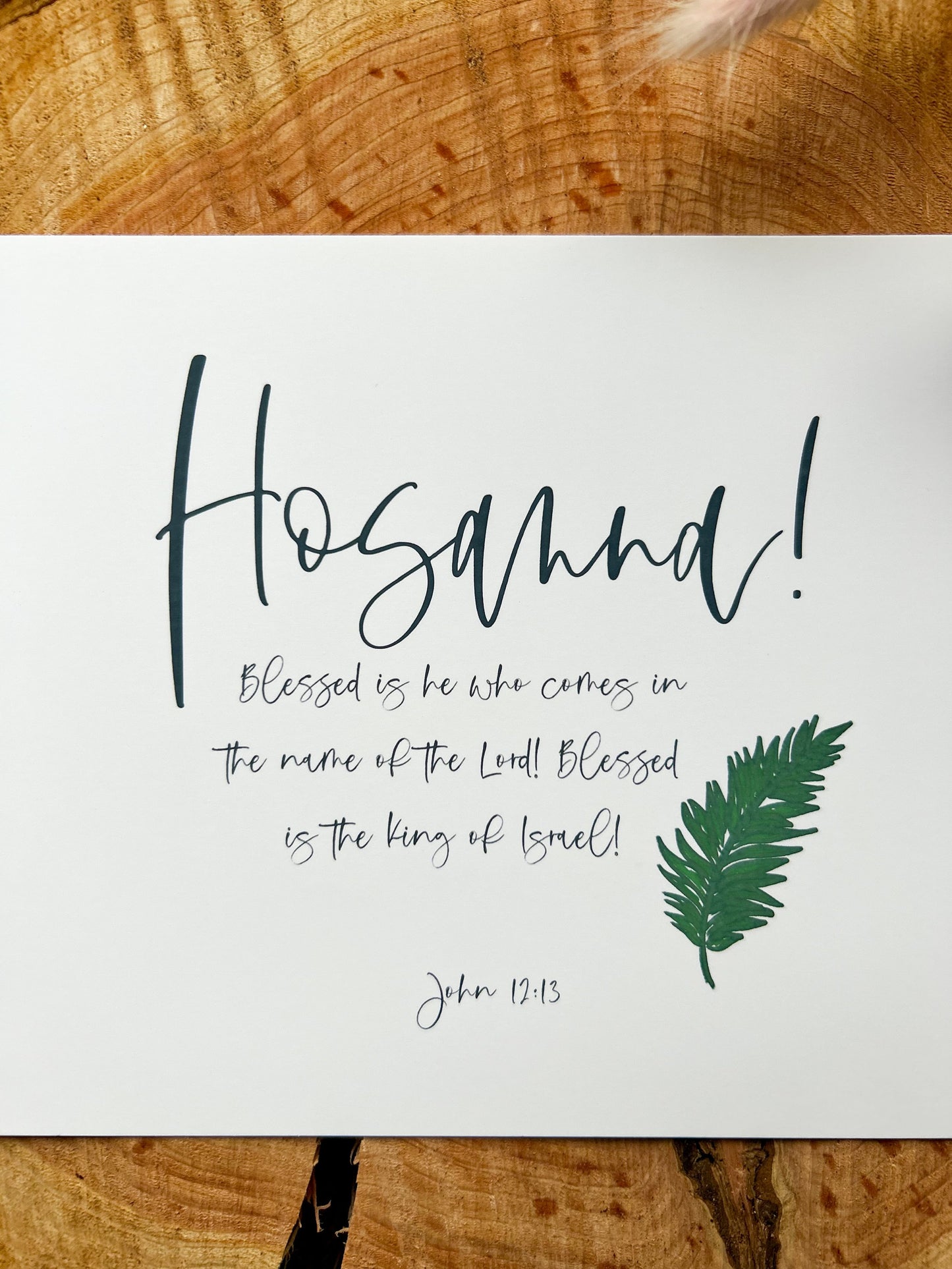 Hosanna! - John 12v13 - Bible verse print