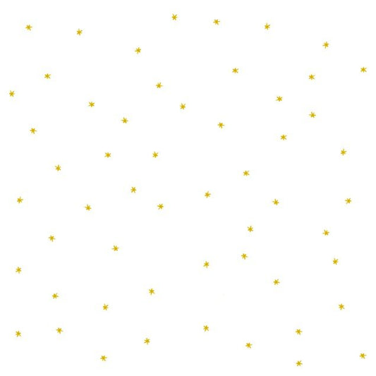 a2 wrapping paper tiny stars