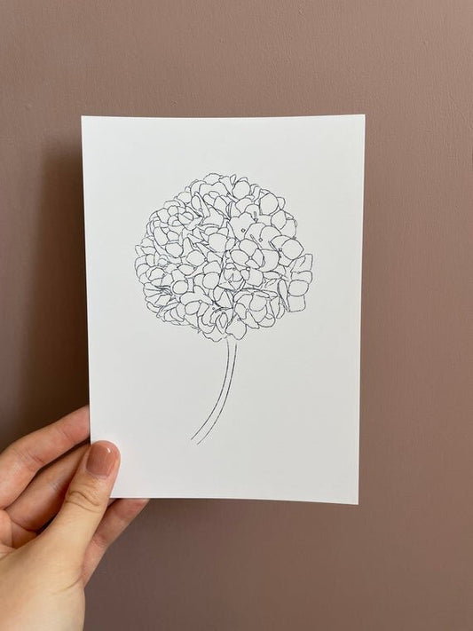 Hydrangea sketch print
