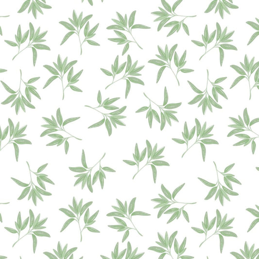 sage leaves illustration wrapping paper